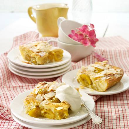 Mirabellenkuchen vom Blech Rezept Mirabellenkuchen vom Blech Rezept