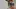 Video Platzhalter Video Platzhalter
