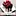 Video Platzhalter Video Platzhalter