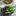 Video Platzhalter Video Platzhalter