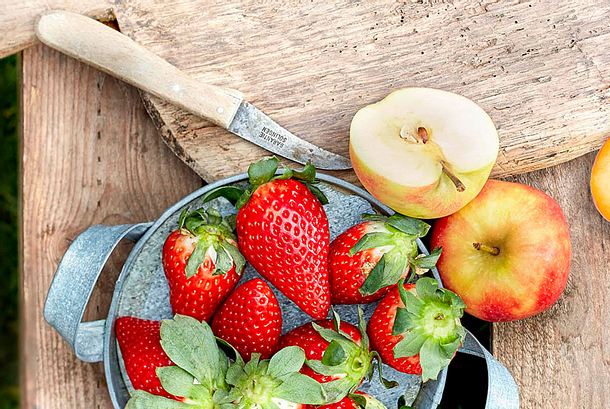 wünsch dir was Füllung rezept wünsch dir was Füllung rezept