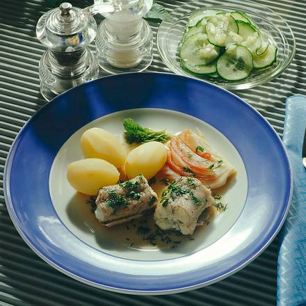 Aal grün in Kräuter-Fenchelsud Rezept