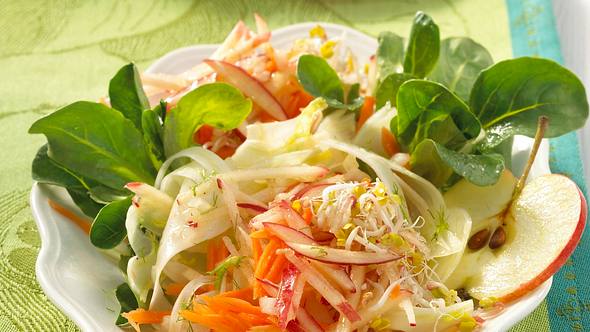 Apfel-Fenchel-Salat mit Sprossen Rezept - Foto: House of Food / Bauer Food Experts KG