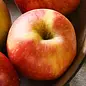 Apfel - Foto: LECKER @ Bauer Media Group