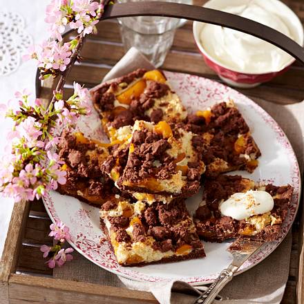 Aprikosen-Kokos-Streuselschnitten Rezept