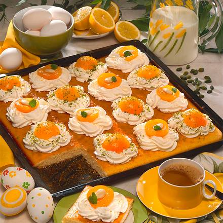 Aprikosen-Kuchen Rezept Aprikosen-Kuchen Rezept