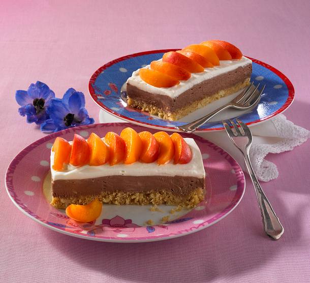 Aprikosen-Schoko-Schnitten Rezept