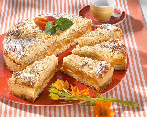 Aprikosen-Streusel-Torte Rezept