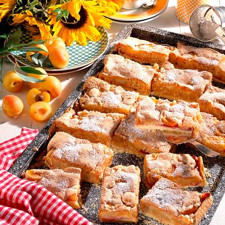 Aprikosen-Weißbrotkuchen Rezept Aprikosen-Weißbrotkuchen Rezept