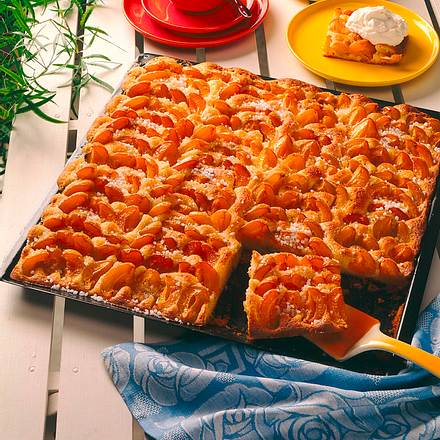 Aprikosenblechkuchen mit Marzipanrührteig Rezept Aprikosenblechkuchen mit Marzipanrührteig Rezept