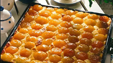 Aprikosenkuchen Rezept - Foto: LECKER @ Bauer Media Group Aprikosenkuchen Rezept - Foto: LECKER @ Bauer Media Group