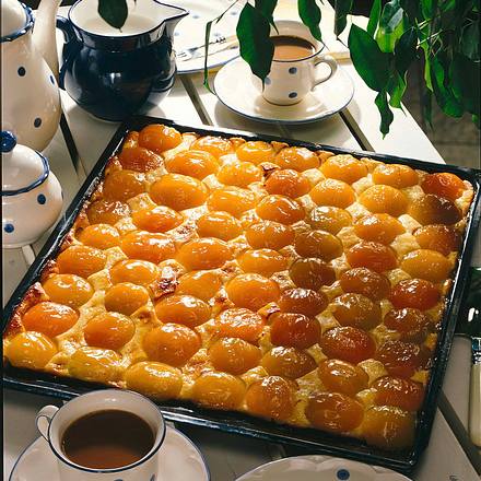 Aprikosenkuchen Rezept Aprikosenkuchen Rezept