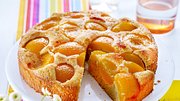 Aprikosenkuchen aus Rührteig, in der Springform gebacken, die Aprikosenhälften sind sichtbar aber halb im Teig versunken. - Foto: House of Food / Bauer Food Experts KG