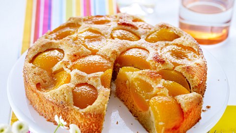 Aprikosenkuchen aus Rührteig, in der Springform gebacken, die Aprikosenhälften sind sichtbar aber halb im Teig versunken. - Foto: House of Food / Bauer Food Experts KG