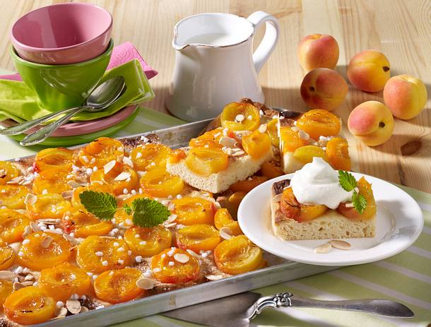 Einfacher Aprikosenkuchen Vom Blech Mit Heidelbeeren — Rezepte Suchen