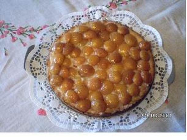 Aprikosentarte Rezept