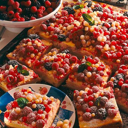 Beerenkuchen mit Quark-Schmandguss Rezept