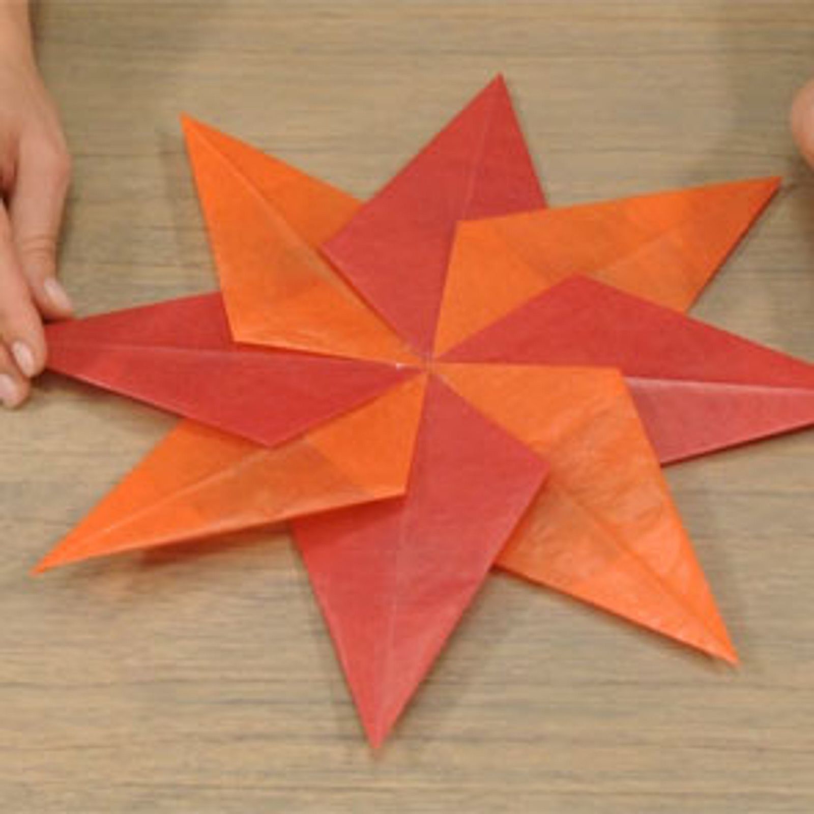 Stern von Bethlehem - ein beliebter Weihnachsstern | LECKER