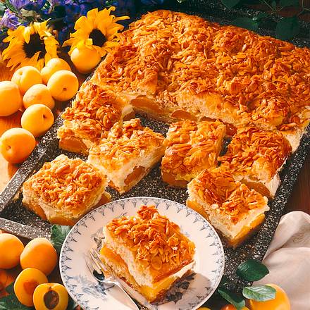 Bienenstich mit Aprikosen-Cremefüllung Rezept Bienenstich mit Aprikosen-Cremefüllung Rezept