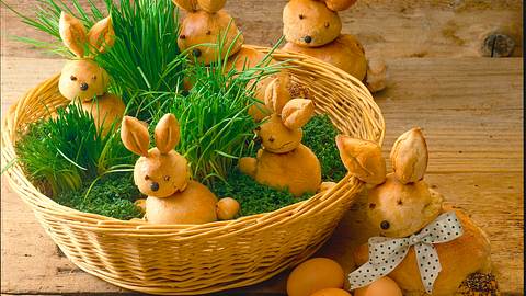 Biskuit Hase Rezept - Foto: Horn