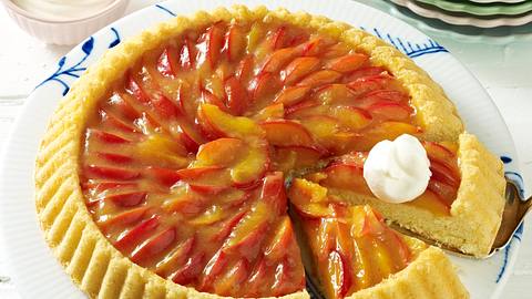 Biskuit-Obstboden mit marinierten Sommerpflaumen Rezept - Foto: House of Food / Bauer Food Experts KG