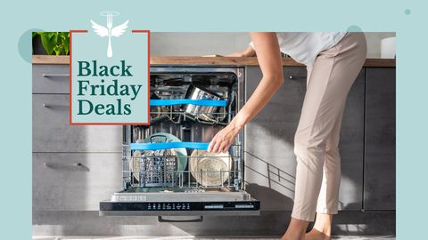 Black Friday Spülmaschine - Foto: LECKER.de/iStock (Tatiana Dyuvbanova)