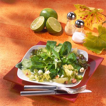 Blattsalat mit Nuss-Vinaigrette Rezept Blattsalat mit Nuss-Vinaigrette Rezept
