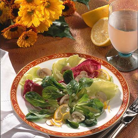 Blattsalat mit Zitronen-Marinade Rezept