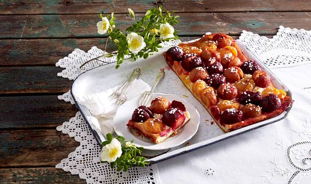 Blechkuchen mit Zuckerpflaumen Rezept Blechkuchen mit Zuckerpflaumen Rezept