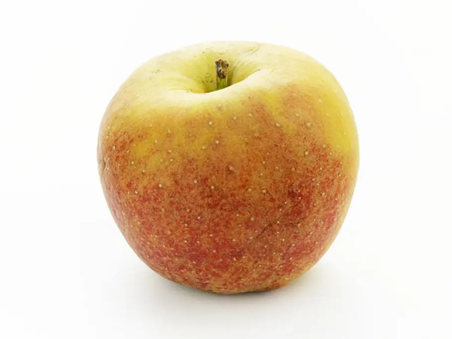 Wellant Apfel mit einem angeschnitten Stück.