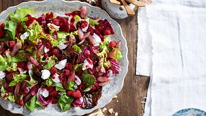 Bouquet von Blattsalaten mit Himbeervinaigrette Rezept - Foto: House of Food / Bauer Food Experts KG