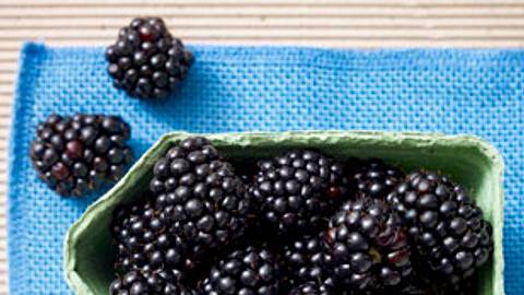 Brombeere - schwarzblaue Sommerbeere - brombeere_1
