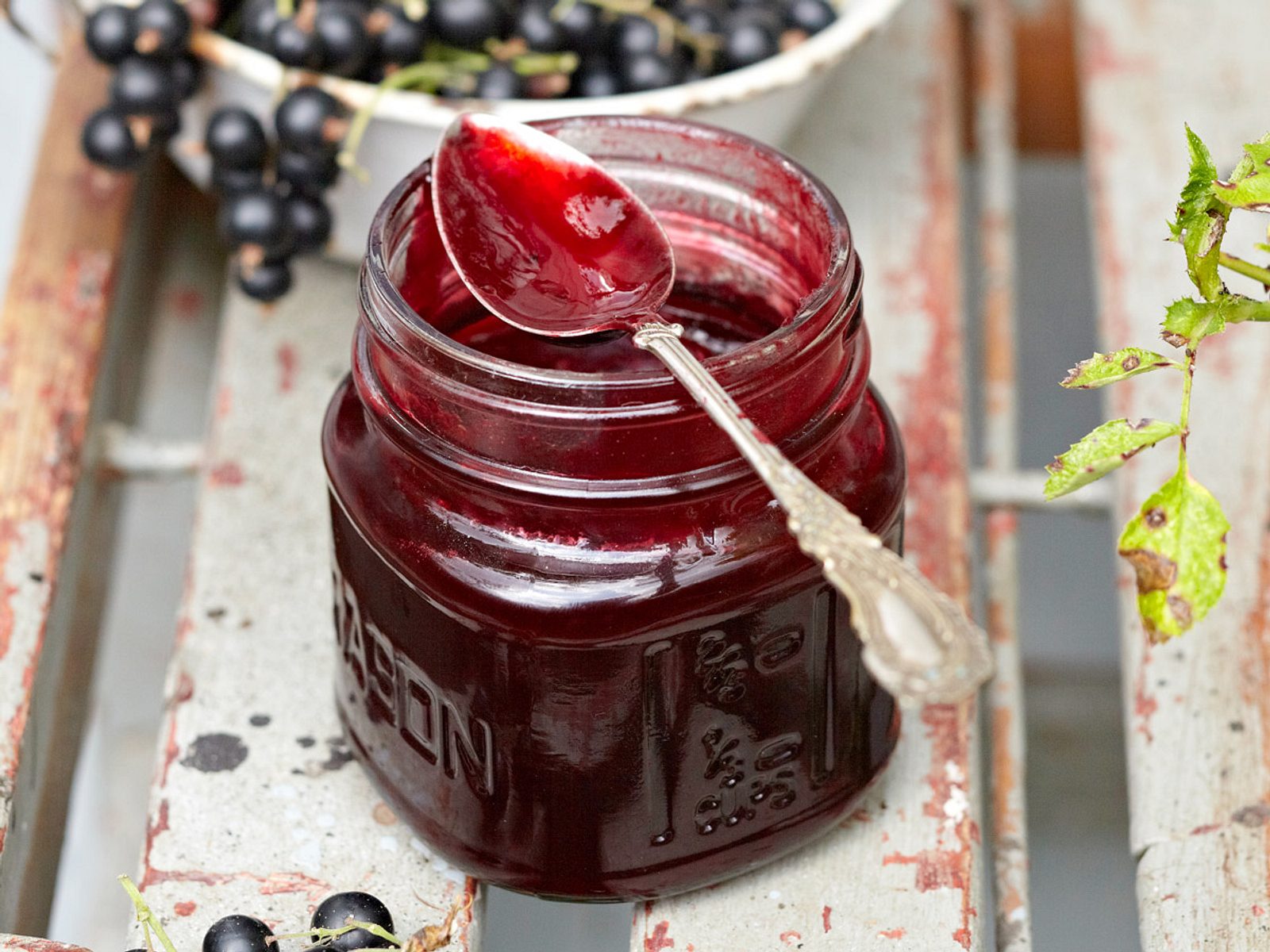 Brombeermarmelade - herrlich aromatisch! | LECKER