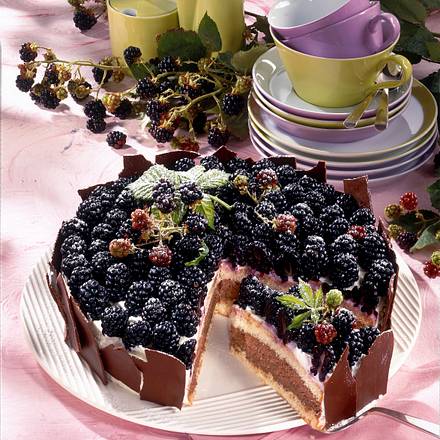 Brombeertorte mit Chocomousse (gekürztes Rezept) Rezept Brombeertorte mit Chocomousse (gekürztes Rezept) Rezept