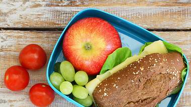 Brotbox Brotdose Kaufen Vergleich Check - Foto: iStock/graletta