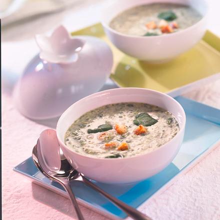 Brunnenkresse mit Croûtons Rezept Brunnenkresse mit Croûtons Rezept
