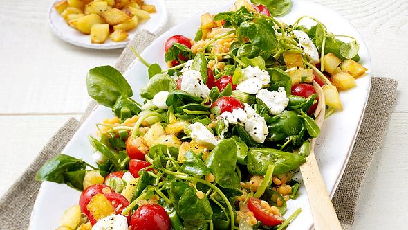 Brunnenkresse-Tomaten-Salat  mit Kartoffel-Croûtons Rezept - Foto: House of Food / Bauer Food Experts KG