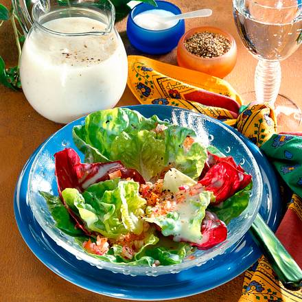 Bunte Salatvorspeise Rezept