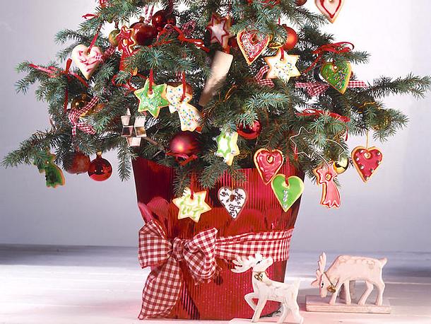 Bunter Baumschmuck Rezept Bunter Baumschmuck Rezept