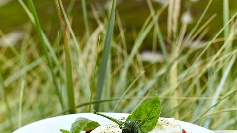 Burrata-Mozzarella mit scharfer Tomatesoße und Pimientos de Padrón Rezept - Foto: House of Food / Bauer Food Experts KG