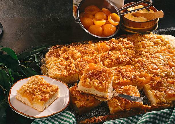 Butterkuchen mit Aprikosen Rezept Butterkuchen mit Aprikosen Rezept