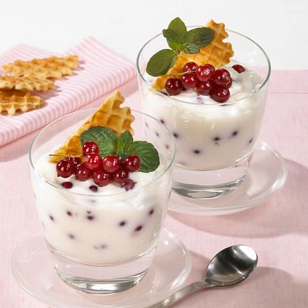 Buttermilch-Gelee mit Johannisbeeren Rezept