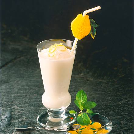 Buttermilch-Minz-Shake mit Zitronensorbet Rezept Buttermilch-Minz-Shake mit Zitronensorbet Rezept