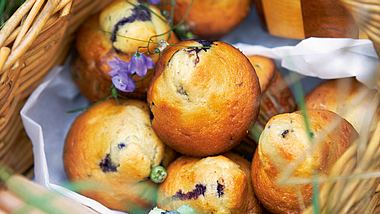 Buttermilch-Muffins mit Heidelbeeren Rezept - Foto: House of Food / Bauer Food Experts KG
