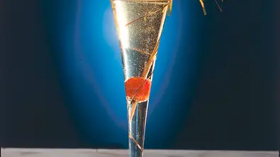 Calvados-Apfel-Sekt Drink Rezept - Foto: LECKER @ Bauer Media Group