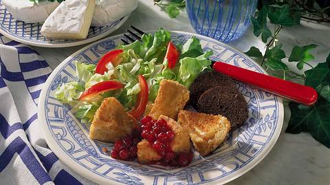 Camembert mit Preiselbeeren Rezept - Foto: Neckermann