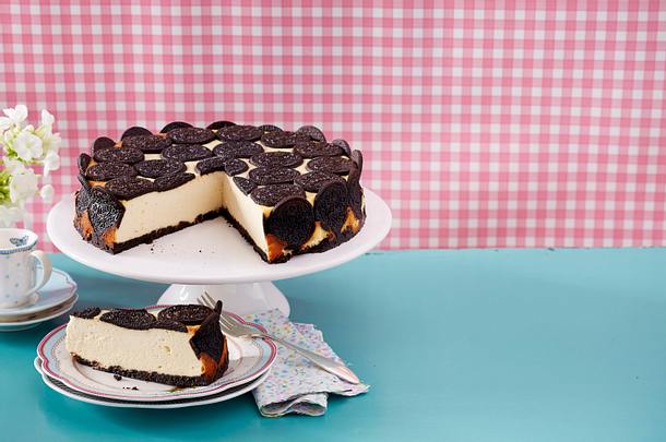 Cheesecake mit Kakaokeksen Rezept Cheesecake mit Kakaokeksen Rezept