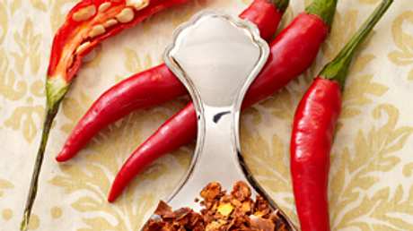 Chili – feuriger Scharfmacher