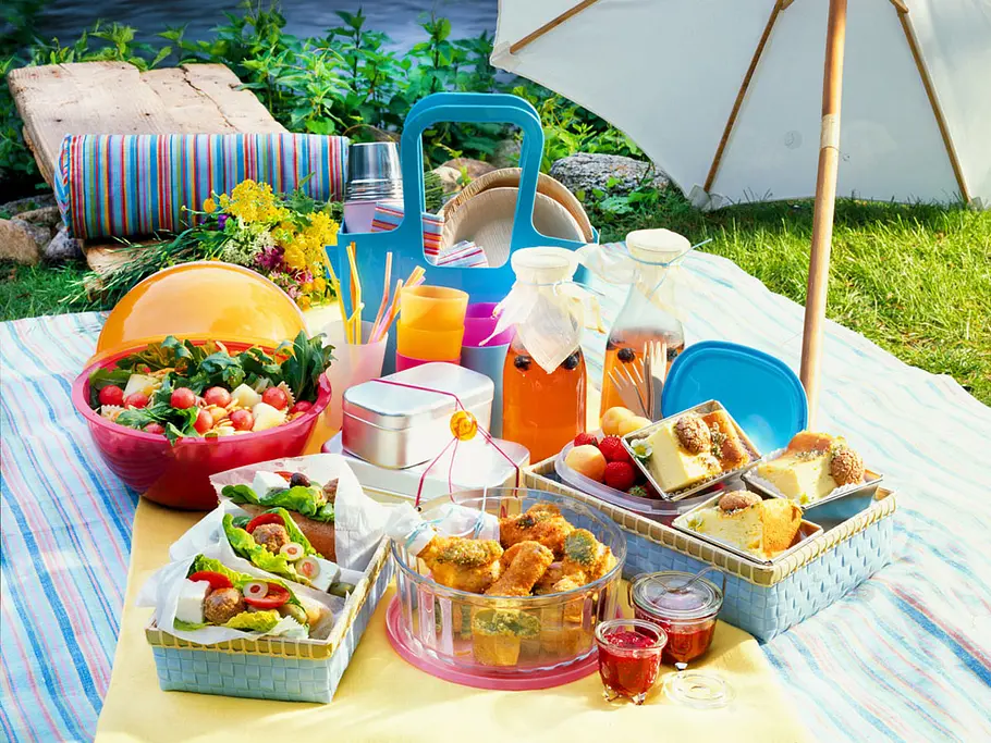 Das gehört in den Picknickkorb