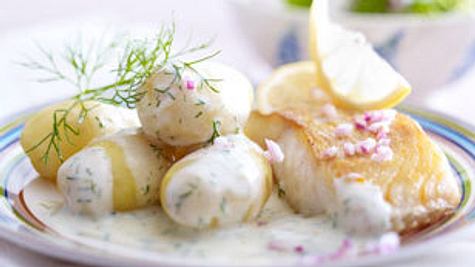 Dill-Béchamel-Kartoffeln mit Bratfisch Rezept - Foto: House of Food / Bauer Food Experts KG